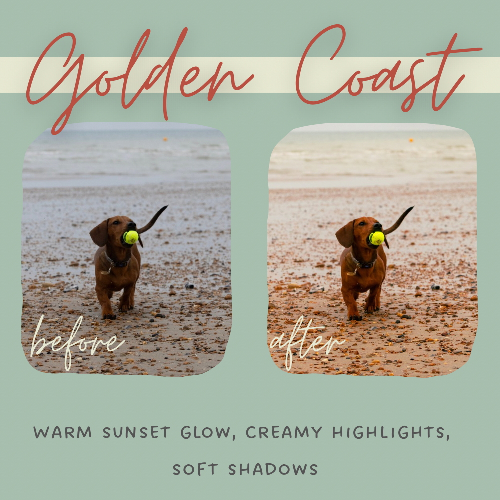 Salt & Sunlight Lightroom Presets