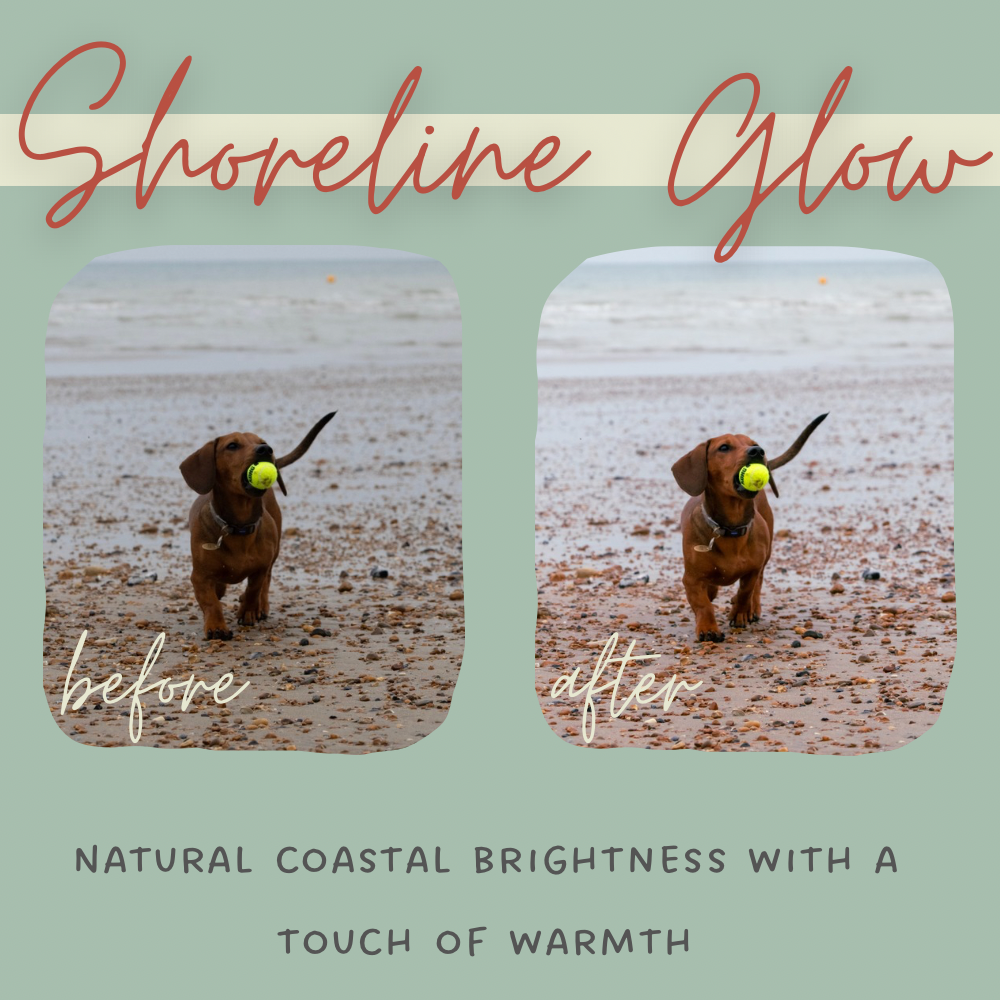 Salt & Sunlight Lightroom Presets