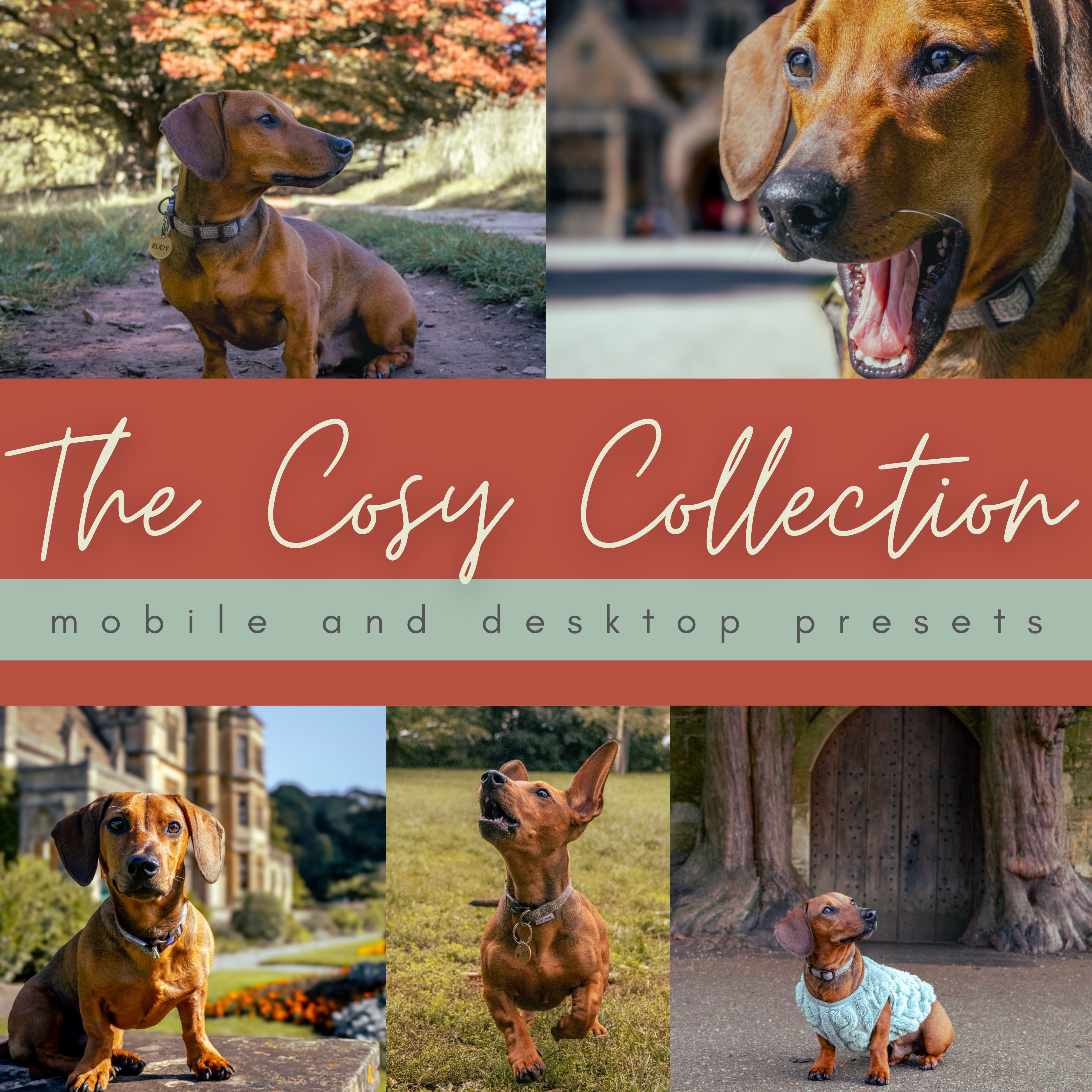 The Cosy Collection - Presets