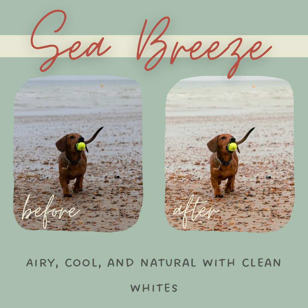 Salt & Sunlight Lightroom Presets