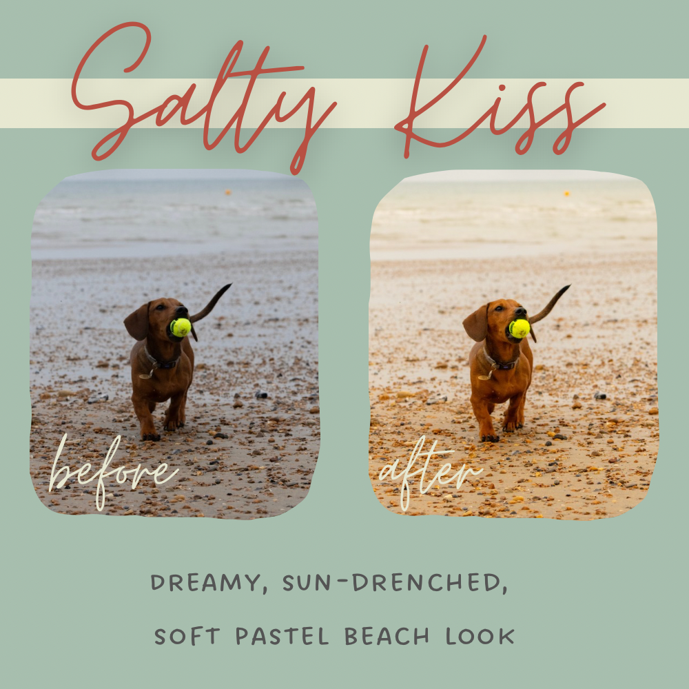 Salt & Sunlight Lightroom Presets