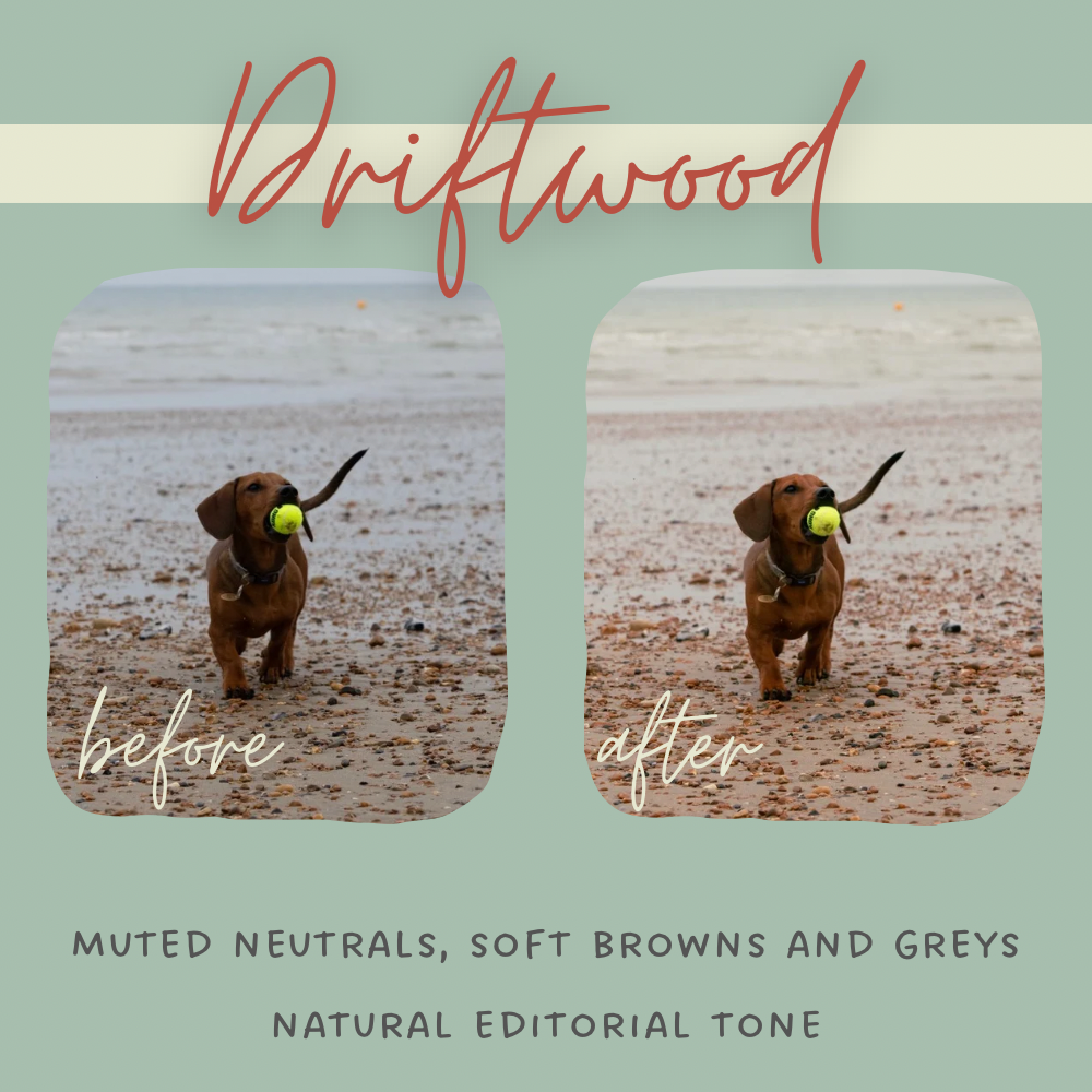 Salt & Sunlight Lightroom Presets