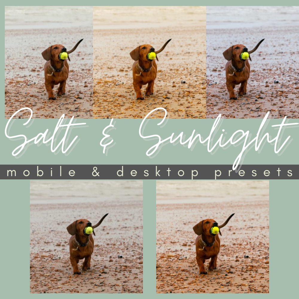 Salt & Sunlight Lightroom Presets