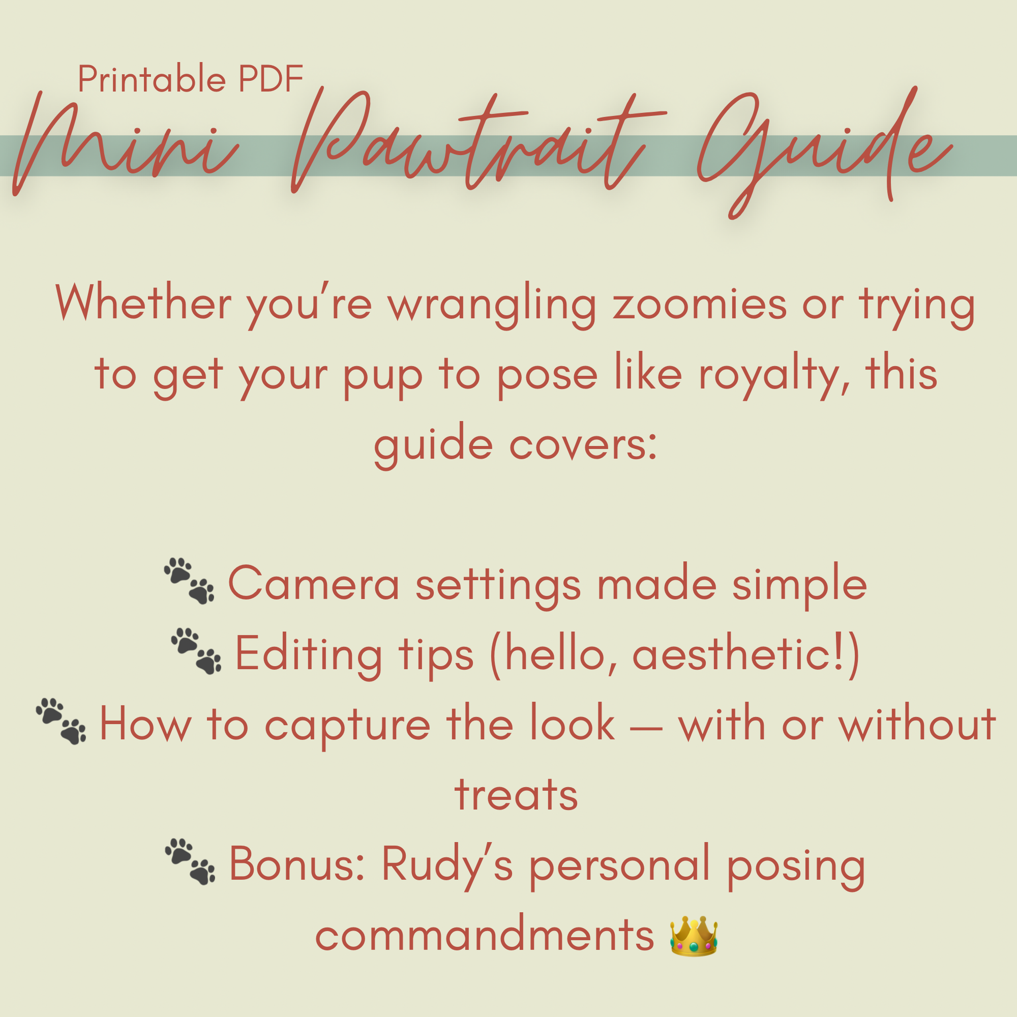Mini Pawtrait Guide